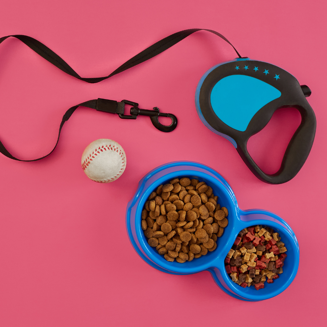 Pet Accessories